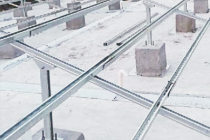 项目展示